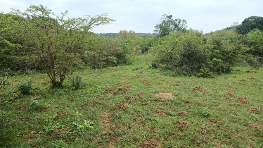 Commercial Property for Sale in Bathurst Rural Eastern Cape